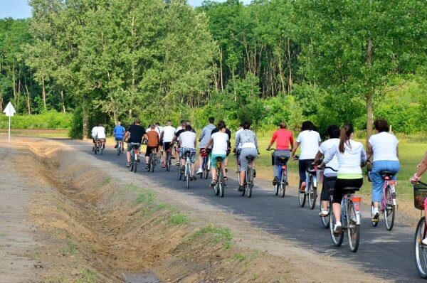 Biztonságosan a 471-es mentén
