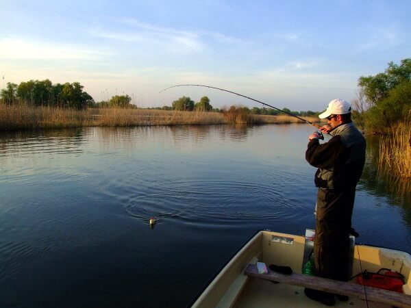 Szeptemberben lép életbe az új halgazdálkodási törvény.