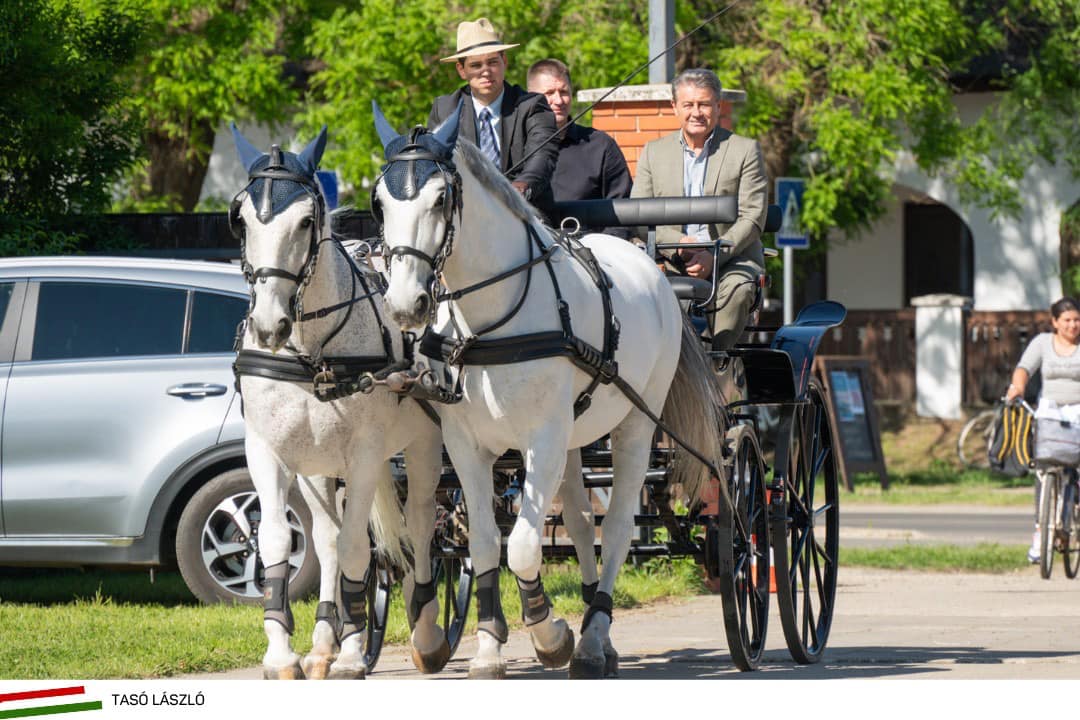 Hajdúhadház - Fogathajtás🐴