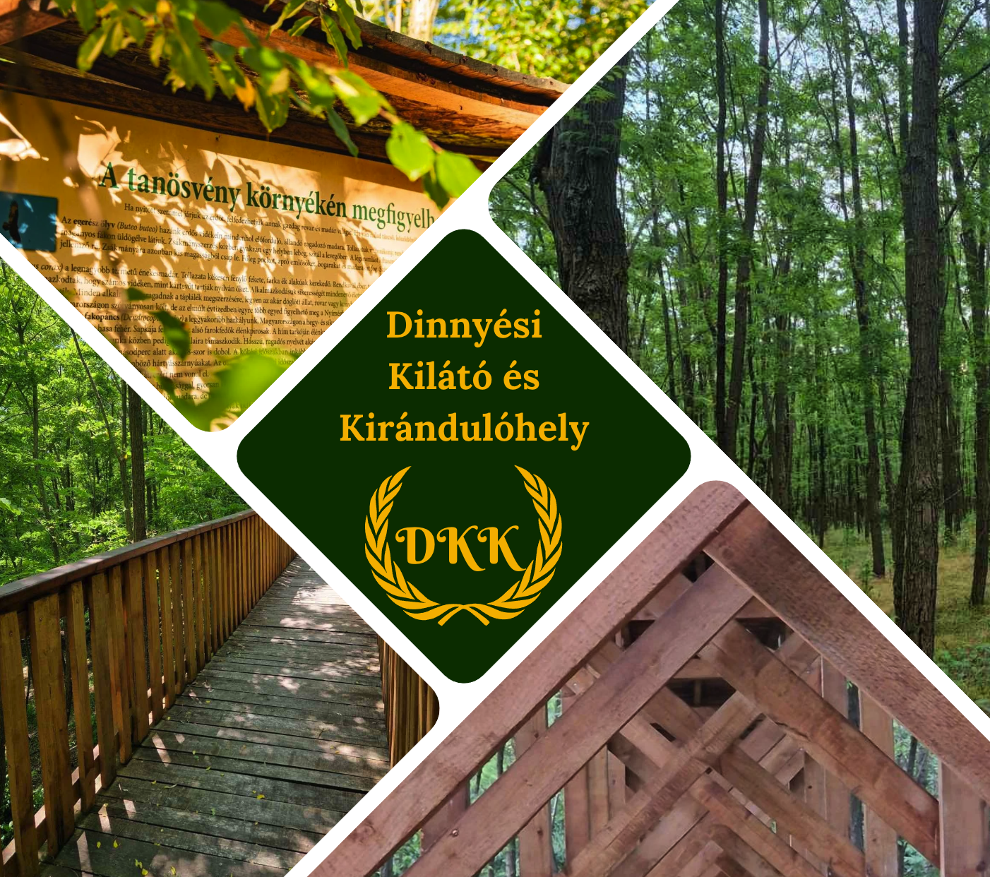 A Dinnyési Kirándulóhely már harmadik éve fogadja a látogatókat!